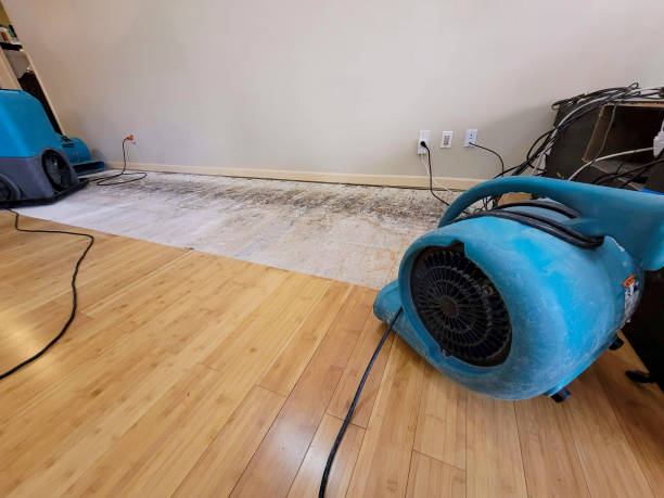 Professional Structural Drying technician working in Buffalo Valley, TN